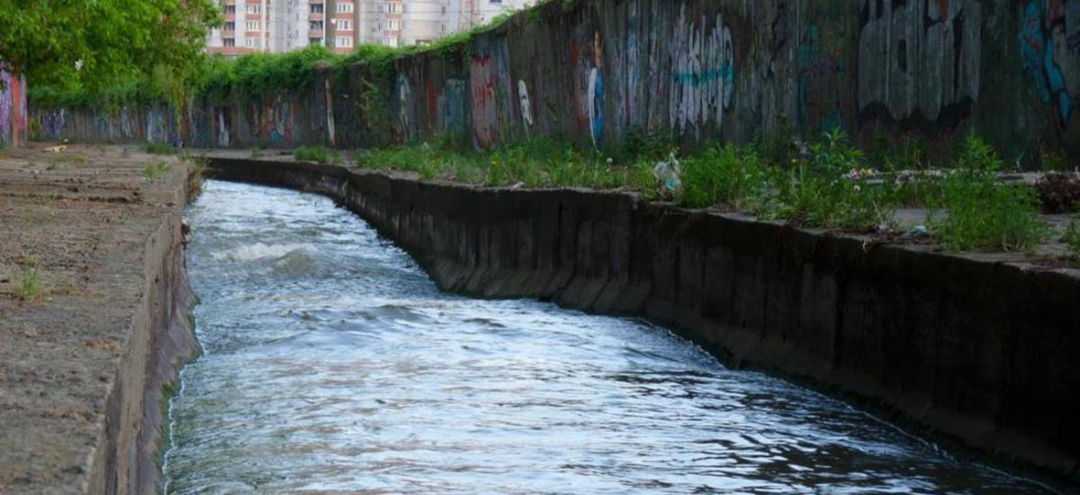 Либідь відходить у вічність...