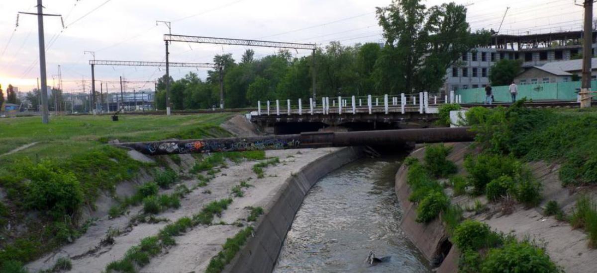 Либідь відходить у вічність...