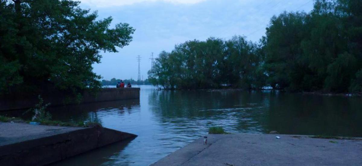 Либідь відходить у вічність...