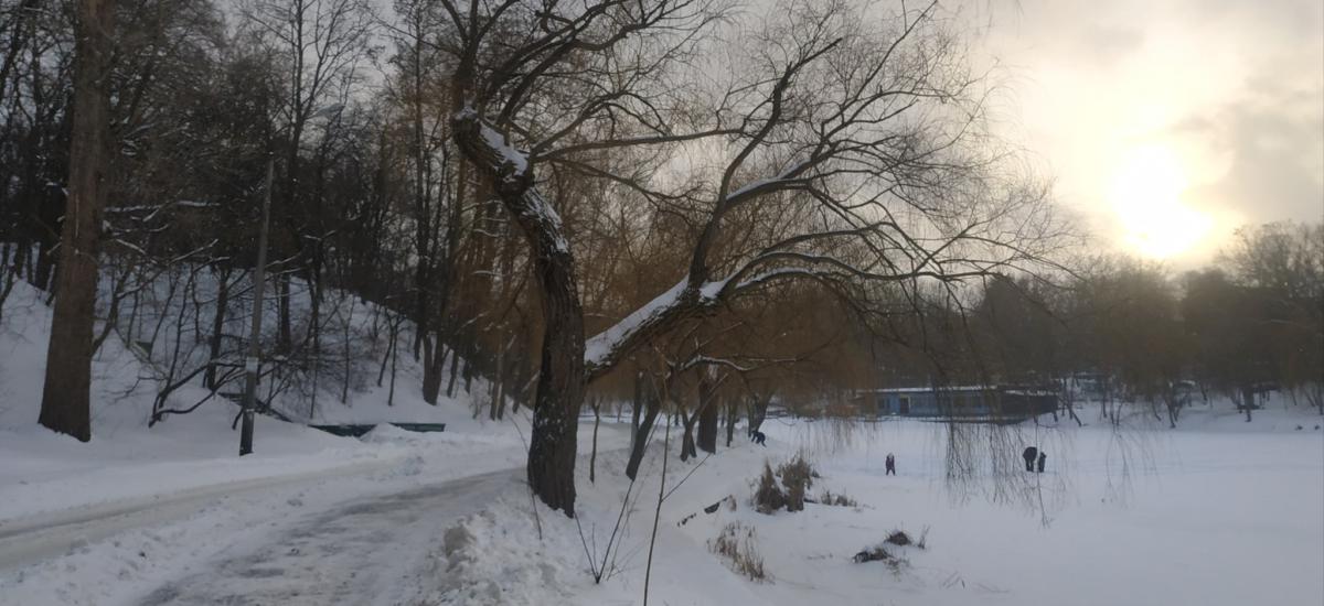 Голосіївський парк під загрозою забудови!