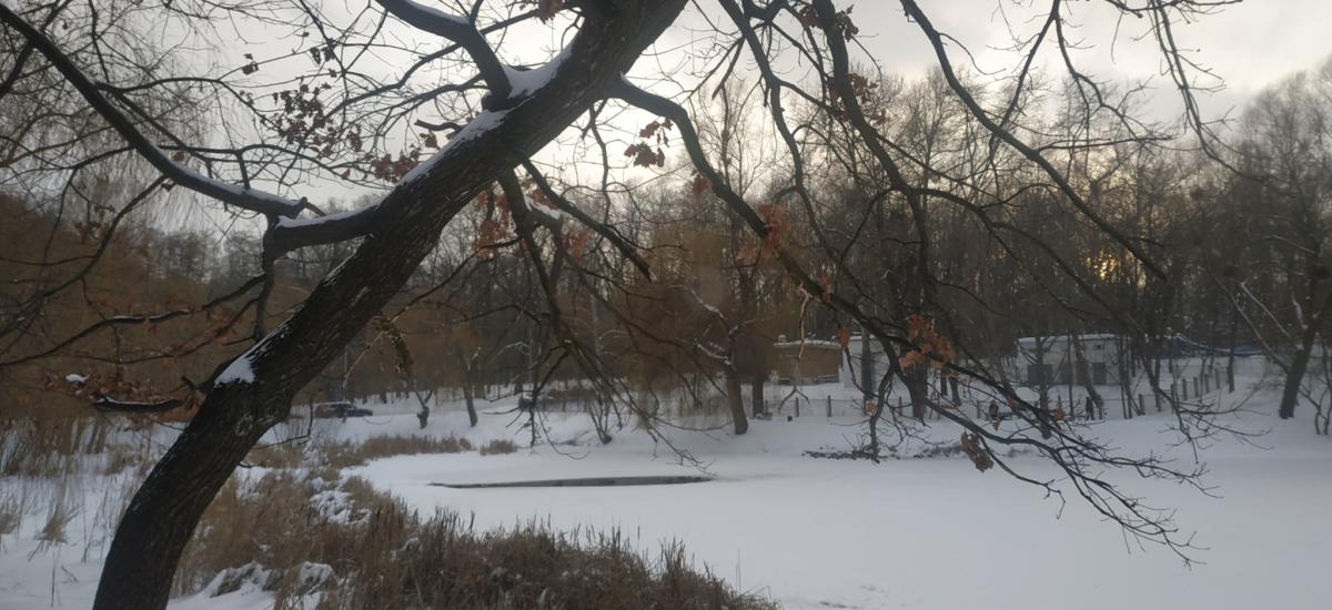 Голосіївський парк під загрозою забудови!