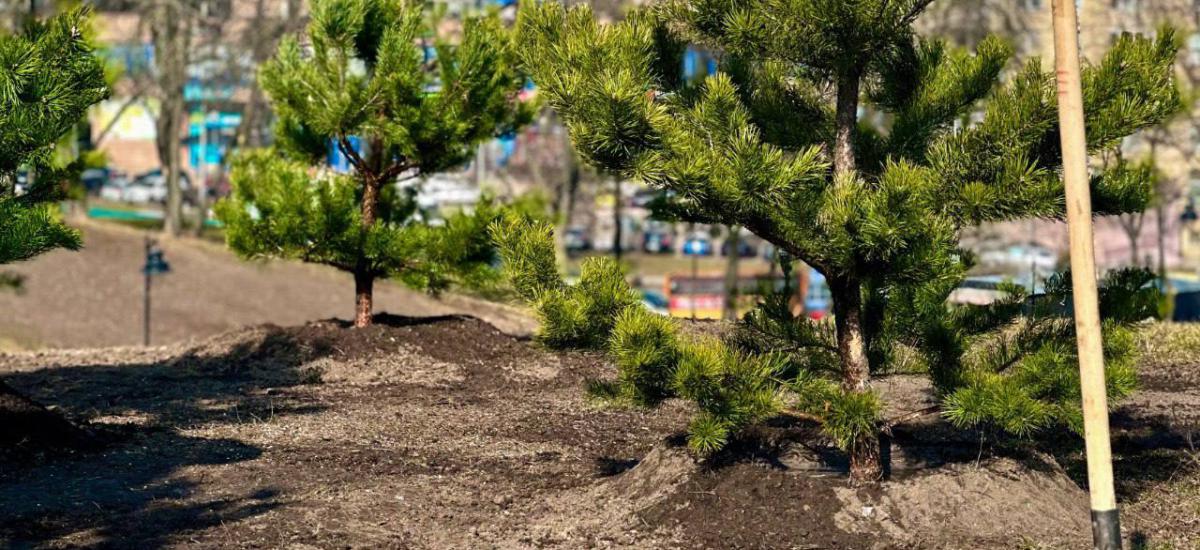 У Києві розікрали майже 7 мільйонів на «ґрунтосуміші для парків»: на лаві підсудних директор фірми і колишній керівник КП